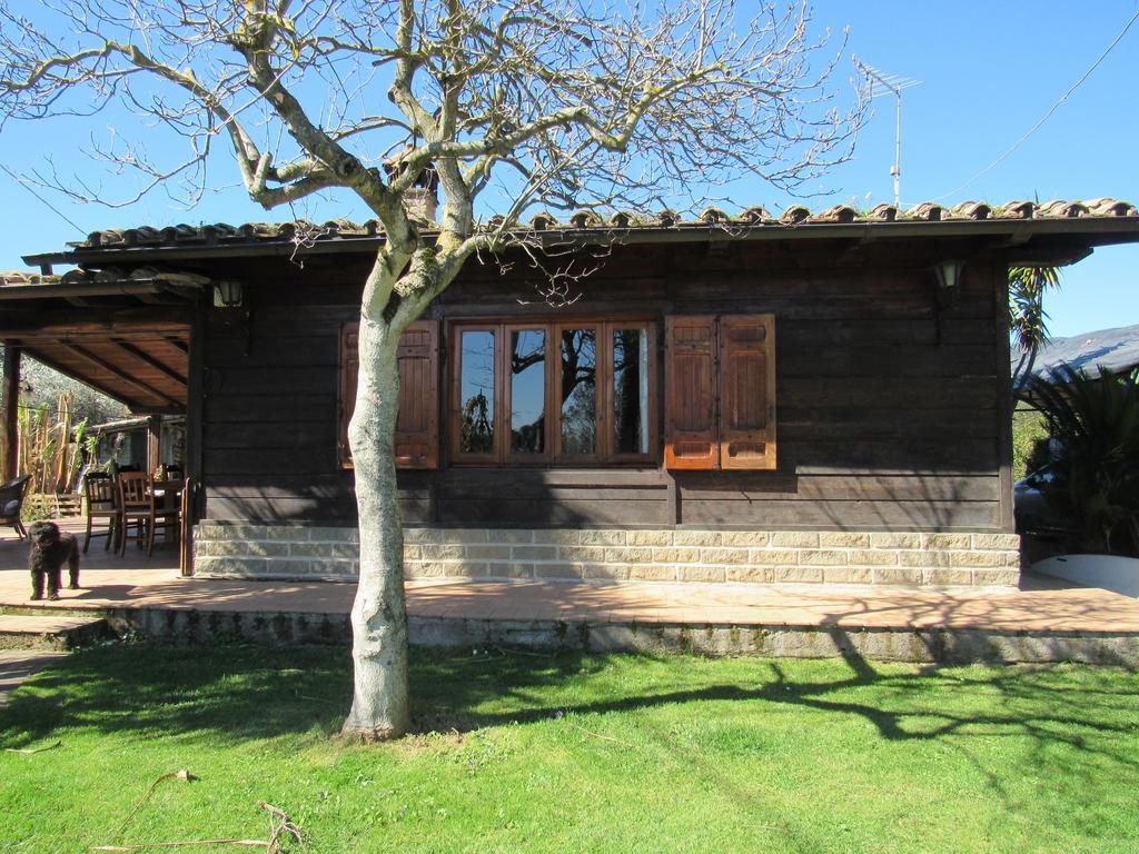 The Lake Chalet Bracciano  Luaran gambar