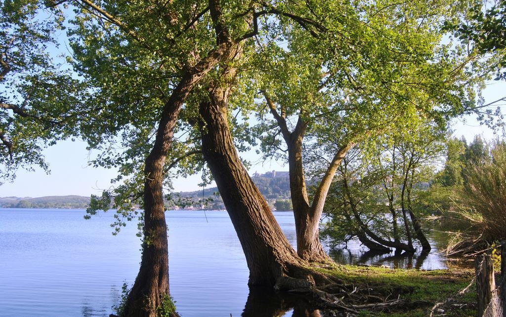 The Lake Chalet Bracciano  Luaran gambar